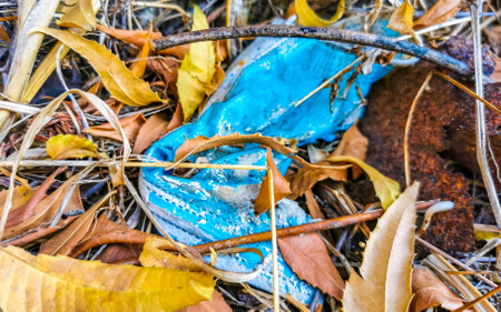 Litter outside in nature and on the street pollution in Zicatela Puerto Escondido Oaxaca Mexico.