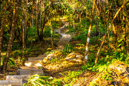 Walking and hiking path way road in the tropical jungle and forest to the mountain peak in Vang...