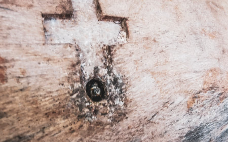 Melipona bees in a wooden bee nest box in Playa del Carmen Quintana Roo Mexico.の写真素材