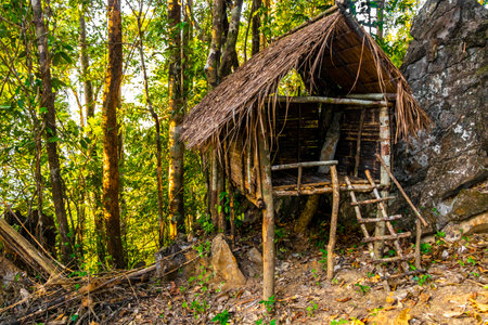 Panorama view and viewpoint hut in the tropical jungle and forest on the mountain peak in Vang Vieng Vientiane Province Laos in Southeastasia Asia.の写真素材