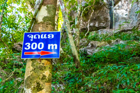 Welcome board and information sign to hiking path way and viewpoint in the tropical jungle and forest to the mountain peak in Vang Vieng Vientiane Province Laos in Southeastasia Asia.の写真素材