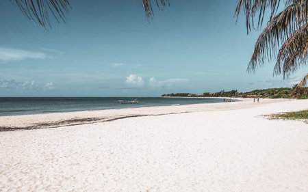 Tropical mexican caribbean beach landscape panorama with clear turquoise blue water and palm trees...