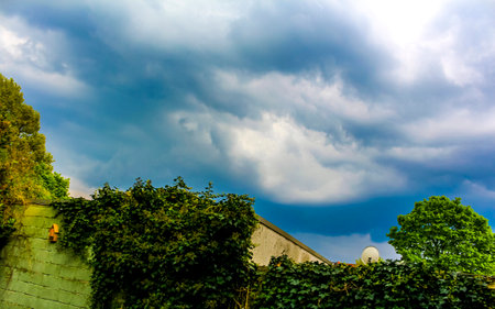 Storm clouds over green garden.