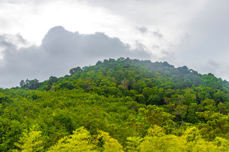 Nature mountains tropical jungle forest limestone cliffs panorama and the village town city in...