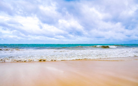 Playa del Carmen Quintana Roo Mexico July 5, 2024 Hurricane Beryl extreme wind storm and thunderstorms causing destruction and devastation broken trees palm trees on the beach.の写真素材