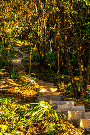 Walking and hiking path way road in the tropical jungle and forest to the mountain peak in Vang Vieng Vientiane Province Laos in Southeastasia Asia.の写真素材