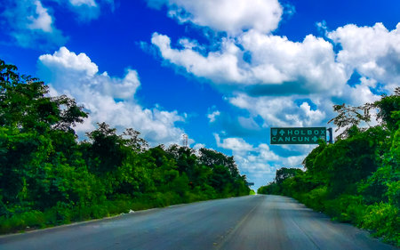 Tropical jungle and forest with road through the village Los Aluxes with road sign to Cancun and Holbox in Lazaro Cardenas in Quintana Roo Mexico.の写真素材
