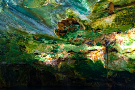 Beautiful Cenote Park Minotauro with limestone rocks tree roots and nature jungle in the underground in Xpu Ha Quintana Roo Mexico.の写真素材