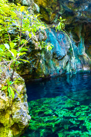 Beautiful Cenote Park Minotauro with limestone rocks turquoise blue green water and nature jungle around it in Xpu Ha Quintana Roo Mexico.の写真素材