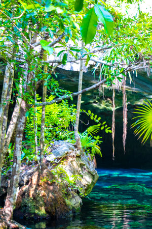 Beautiful Cenote Park Minotauro with limestone rocks turquoise blue green water and nature jungle...