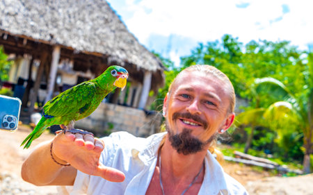 Man with green parrot on his hand arm in Solferino Lazaro Cardenas in Quintana Roo Mexico.の写真素材