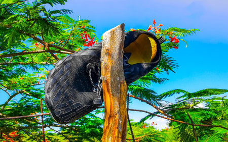 Garbage waste pollution in the water and tropical jungle nature in Playa del Carmen Quintana Roo Mexico.の写真素材