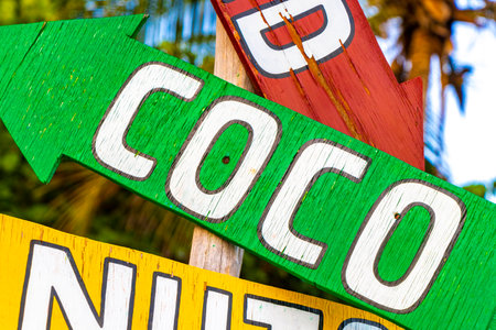 Colorful directional signs on a beach with tropical palm trees in the backgroundの写真素材