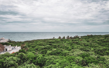 National park of Tulum panorama view to jungle beach sea coast and blue sky in Tulum Quintana Roo Mexico.の写真素材