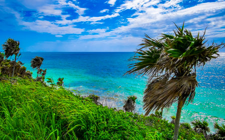 Playa Santa Fe tropical paradise beach panorama view with white sand turquoise blue water and green palm trees in Tulum Quintana Roo Mexico.の写真素材