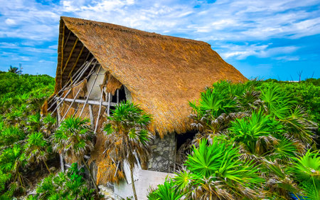 Wooden mayan mayan hut in the green tropical jungle in Tulum Quintana Roo Mexico.の写真素材