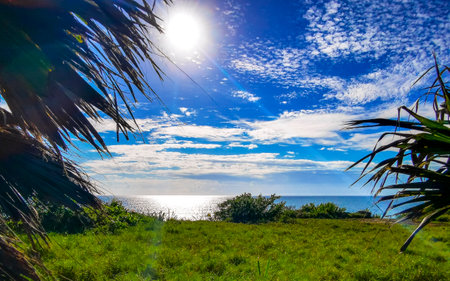 Natural seascape coast and blue sky panorama view with tropical natural jungle forest palm.の写真素材