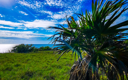 Natural seascape coast and beach panorama view at the ancient Tulum ruins Mayan site with temple ruins pyramids and artifacts in the tropical natural jungle forest palm in Tulum Mexico.の写真素材