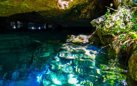 Beautiful Cenote Park Yaxmuul with limestone rocks turquoise blue green water and nature jungle around it in Tulum Quintana Roo Mexico.の写真素材