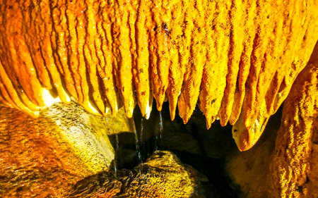Beautiful Cenote Park Yaxmulito with amazing limestone rocks rock formations stalactites stalagmites and water in Tulum Quintana Roo Mexico.の写真素材