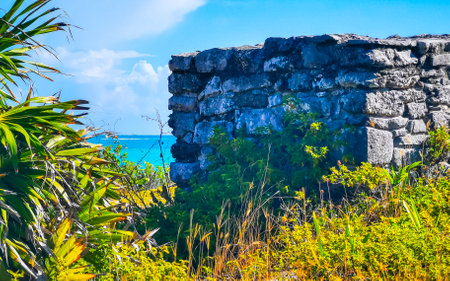 Ancient Tulum ruins Mayan site in the tropical natural jungle palm trees landscape panorama view in Tulum Mexico.の写真素材