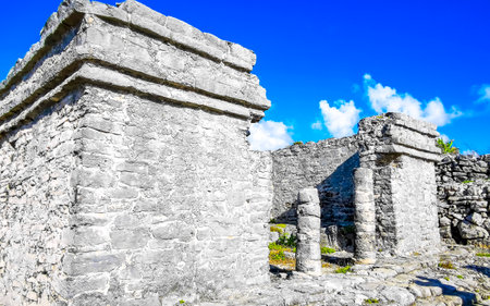 Ancient Tulum ruins Mayan site with temple ruins pyramids and artifacts in the tropical natural jungle palm trees landscape panorama view in Tulum Mexico.の写真素材