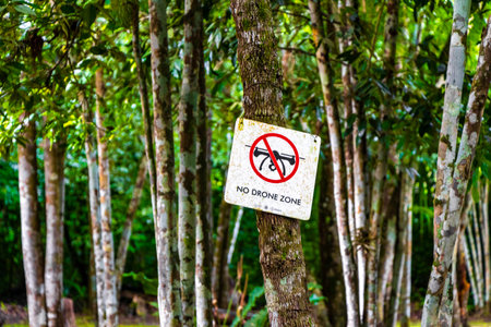 Coba Quintana Roo Mexico October 01, 2023 No drone zone forbidden to use information board and sign in Coba Municipality Tulum Quintana Roo Mexico.の写真素材