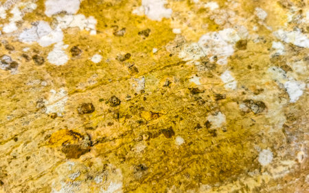 Rough natural sand and stone background texture in Tulum Quintana Roo Mexico.の写真素材