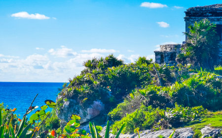 Natural seascape and beach panorama view at the ancient Tulum ruins Mayan site with temple of the wind in the tropical natural jungle forest palm in Tulum Mexico.の写真素材