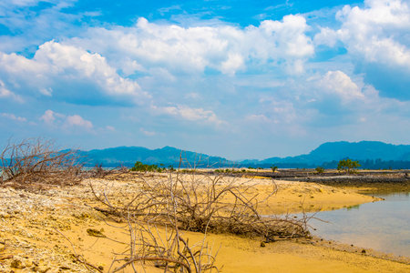 Pakarang Cape tropical paradise beach sea and shore landscape with dead coral corals mussels shells and dead trees tree in Khao Lak Amphoe Takua Pa Phang Nga Thailand.の写真素材