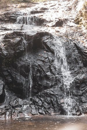 Tropical jungle nature landscape and green water river in Khao Lak Amphoe Takua Pa Phang Nga Thailand in Southeast Asia.の写真素材