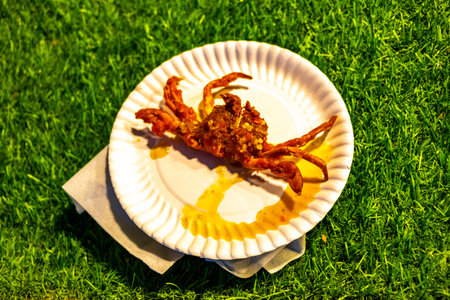 Fried crab crabs on white plate on night market at Bang Niang Market Chong Fah in Khao Lak Amphoe Takua Pa Phang Nga Thailand in Southeast Asia.の写真素材