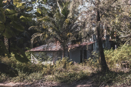 Broken building and house in the tropical jungle years after the tsunami in Khao Lak Amphoe Takua Pa Phang Nga Thailand in Southeast Asia.の写真素材
