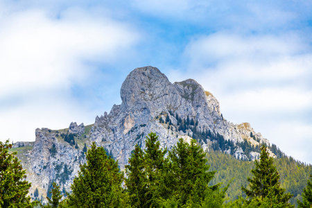 Saeuling round mountain and alpine hill peak landscape range mountains and rocks panorama with green fields forest fir trees nature and blue sky in the Alps Reutte Tyrol Austria.の写真素材