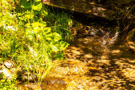 Beautiful flowing river steam and waterfall Inn with stones rocks grass trees nature between mountains in the Alps FlieÃ Landeck Tyrol Austria.の写真素材