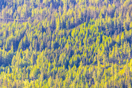 Mountain and alpine hill landscape mountains and rocks peaks panorama with green fields forest fir trees nature and blue sky in the Alps FlieÃ Landeck Tyrol Austria.の写真素材