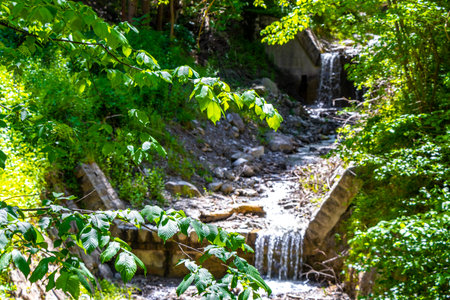 Beautiful flowing river steam and waterfall Inn with stones rocks grass trees nature between mountains in the Alps FlieÃ Landeck Tyrol Austria.の写真素材