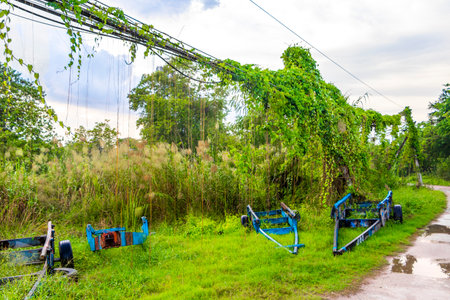 Trailer boat vehicles left in the tropical nature jungle in Pattaya Bang Lamung Amphoe Chon Buri Thailand in Southeastasia Asia.の写真素材