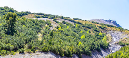 Mountain and alpine hill landscape mountains and rocks peaks panorama with green fields forest fir trees nature and blue sky in the Alps Imst Tyrol Austria.の写真素材