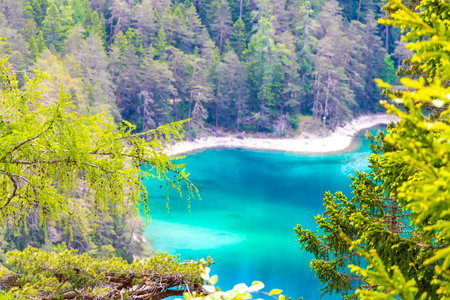 Turquoise blue green Blindsee lake river water forest rocks hills and mountains at Germanys largest mountain Zugspitze alpine landscape panorama in the Alps Biberwier Reutte Tyrol Austria.の写真素材