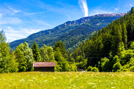 Mountain and alpine hill landscape mountains rocks and peaks panorama with green fields meadows village forest fir trees houses huts and blue sky in Fliess Landeck Tyrol Austria.の写真素材
