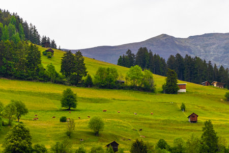 Mountain and alpine hill landscape mountains rocks and peaks panorama with green fields meadows village forest fir trees houses huts and blue sky in Fliess Landeck Tyrol Austria.の写真素材