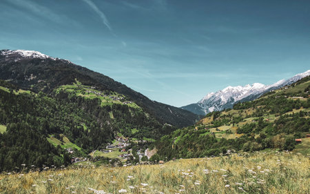Green colorful field meadow of flowers at the mountain and alpine hill landscape mountains rocks and peaks panorama of Lechtal alps with snow and blue sky in Fliess Landeck Tyrol Austria.の写真素材