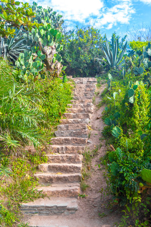 Stairs staircase and walking path trail hiking in the jungle nature rainforest in the mountains in...
