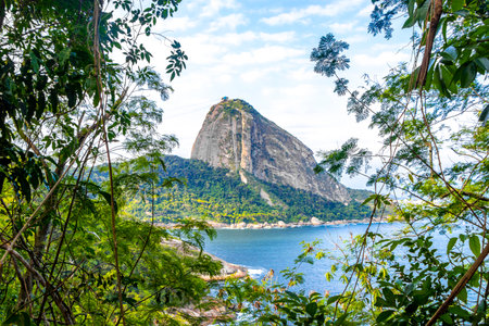 Rio de Janeiro State of Rio de Janeiro Brazil October 11, 2020 Sugarloaf sugar loaf mountain Pao de Acucar sea coast nature panorama view and cityscape of the Urca village in Rio de Janeiro Brazil.の写真素材