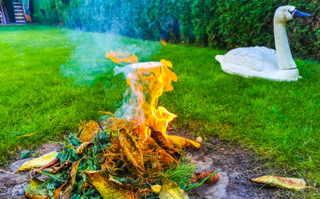 Campfire and smoke in the garden in Leninskiy Rayon Brest Brest District Brest Region Belarus.の写真素材