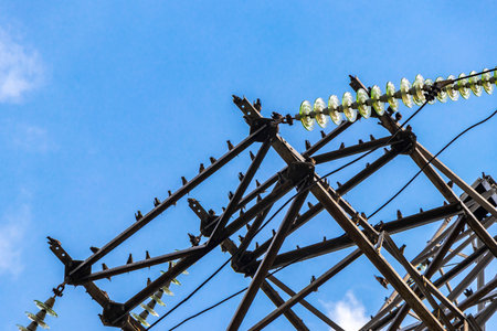 Many birds sit on the power pole with blue sky in Leninskiy Rayon Brest Brest District Brest Region Belarus.の写真素材