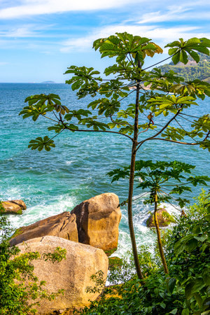 Urca Red Beach Tropical Paradise with Blue Turquoise Water Waves Palm Trees Rocks Hills Cliffs Seascape and White Beach Sand in Rio de Janeiro State of Rio de Janeiro Brazil.の写真素材