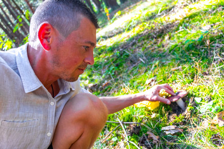Handsome young man is looking for mushrooms in the forest in Leninskiy Rayon Brest Brest District...