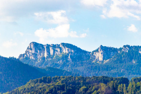 Mountain and alpine hill landscape mountains and rocks peaks panorama with green fields forest fir...